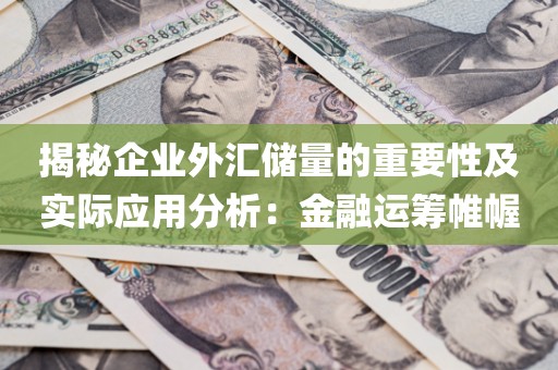 揭秘企业外汇储量的重要性及实际应用分析：金融运筹帷幄