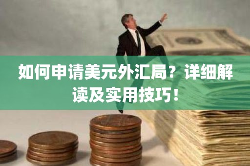 如何申请美元外汇局？详细解读及实用技巧！