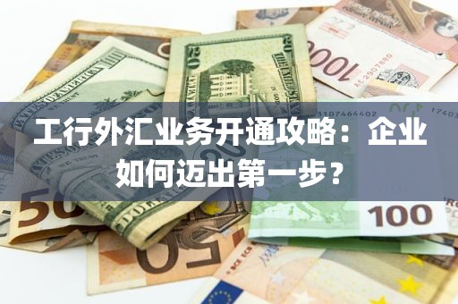 工行外汇业务开通攻略：企业如何迈出第一步？