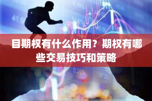 揭秘目期权：投资者的利器！期权交易技巧和策略分享！
