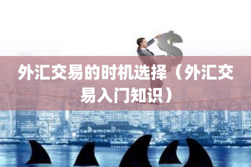 外汇交易的时机选择（外汇交易入门知识）
